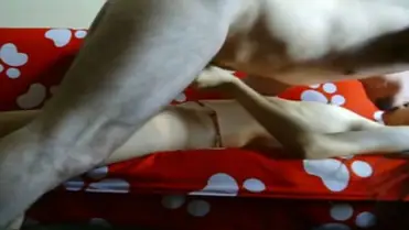 Live ABG Bispak Jakarta Hotel Bintang Lima Skandal Viral Streaming